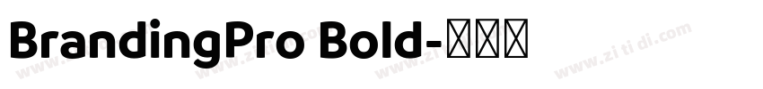 BrandingPro Bold字体转换
